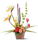 Nha Quan Westminster Funeral Memorial Park Westminster, (CA)