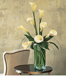 White Callas