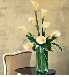 White Callas