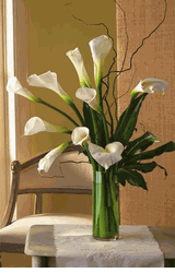White Callas bouquet