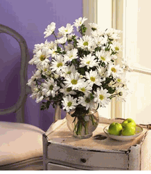 White Daisies bouquet