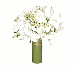 White Elegance 