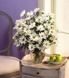 White Flowers- Hoa Mau Trang