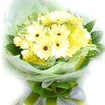 white gerberas