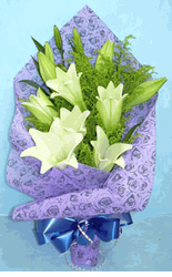 White Lilies