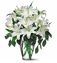  White Lilies