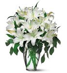  White Lilies