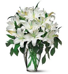  White Lilies