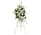 White Promises Spray Lang Hoa Sympathy Chia buon