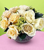 White Rose