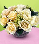 White Rose