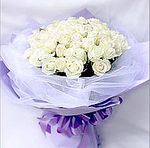  White Rose 