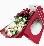 White rose Wraped 