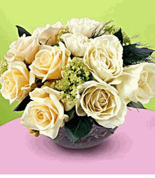 White Rose
