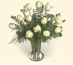 White Rose