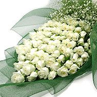 White Roses 