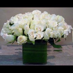 White roses