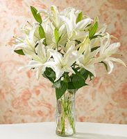 White Stargazer Lilies with Vase