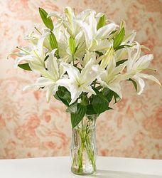 White Stargazer Lilies with Vase