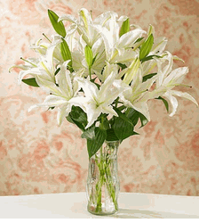 White Stargazer Lilies with Vase