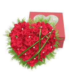 Valentine day Gifts rose heart