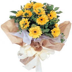 yellow gerberas