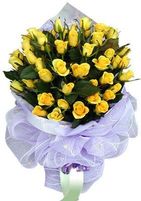 Yellow rose