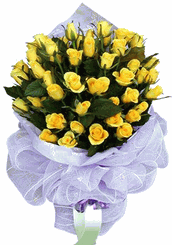 Yellow rose