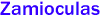 Zamioculas 