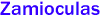 Zamioculas 