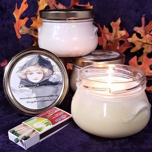 <b> Fall Festival</B><br><em>7.0oz Tureen Jar Candle</EM>