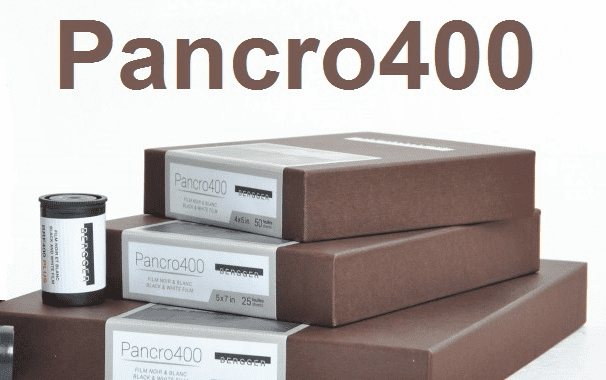 BERGGER PANCRO 400 Black and White Film