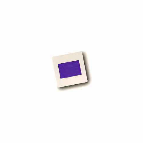 Pakon Brand Slide Mounts 100 Count