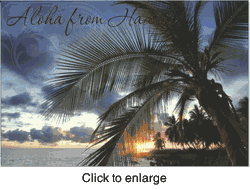 Elegant Hawaiian Sunset Postcard  - click to enlarge