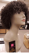 Afro Beauty Victoria's Wig Collection 100% Brazilian Human Hair Wig Brazilian Sassy (NEW!!!)