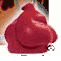 Profectiv Neutralizing Shampoo Color Mousse Cherry Fusion