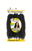 Shake N Go Organique Mastermix 3x Fresh Kinky Twist 12"
