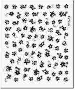Click to enlarge