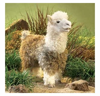 【1ペア】チモールフタオチョウ（チモール産） Folkmanis Puppet <br>Alpacha