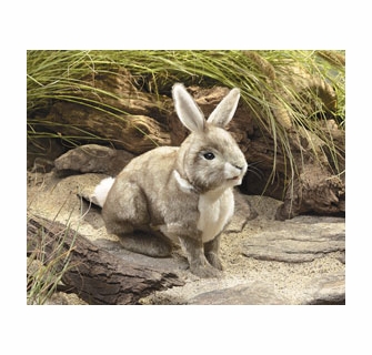 Acheter Cottontail Rabbit - Hand Puppets - Folkmanis - Le Nuage de