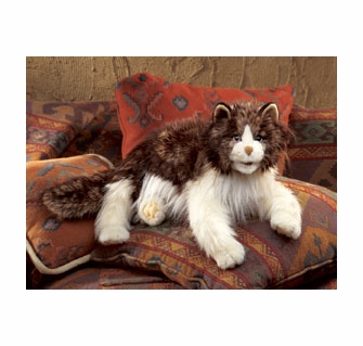 Folkmanis Puppets Ragdoll Cat ぬいぐるみ Folkmanis Cat Ragdoll Hand Puppet, Brown, Hand Puppets - Amazon Canada