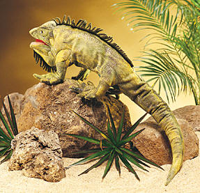 Folkmanis Reptiles <br>& Amphibians
