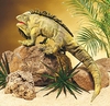 Folkmanis Reptiles <br>& Amphibians