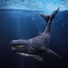 Folkmanis Puppet <br>Humpback Whale Folkmanis Puppet <br>Humpback Whale