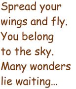 As You Believe (Free and Easy Solo) (UWM) As You Believe (Free and Easy Solo) (UWM)