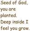 Seed of God (Calypso, Children's Choir) (UWM)