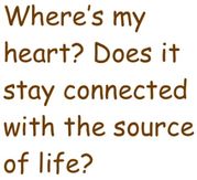 Where's My Heart ? (Latin Solo) (Espanol)