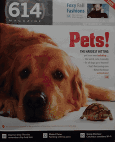 614 Magazine Fall Power Suit