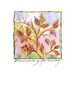 Coleus Plant Greeting Card, set of 6 blank notes