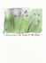 Consider the Lilies Encouragement Greeting Card